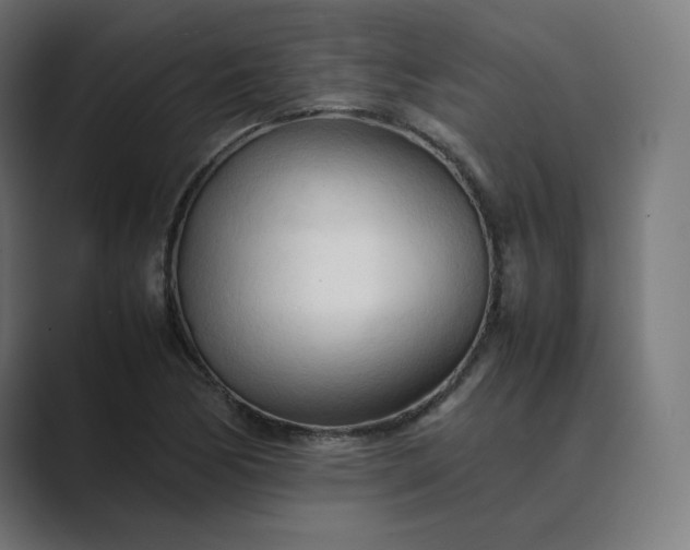 X0000089351170200706291015