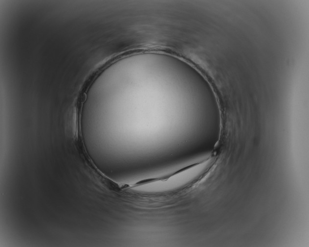 X0000089351171200706291015