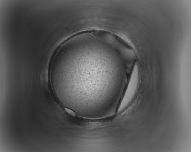 X0000089351173200706291015