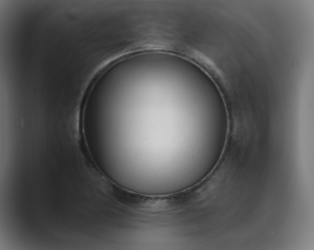 X0000089351174200706291015