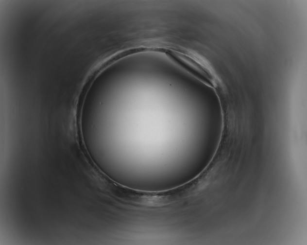 X0000089351176200706291015