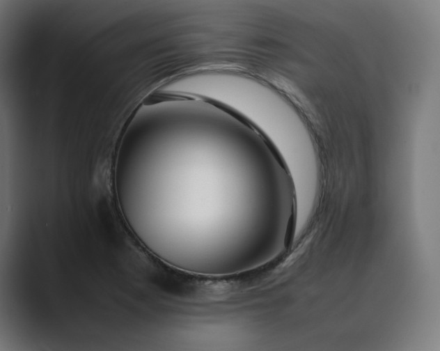 X0000089351177200706291015