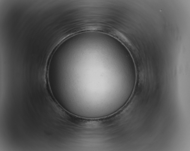 X0000089351178200706291015