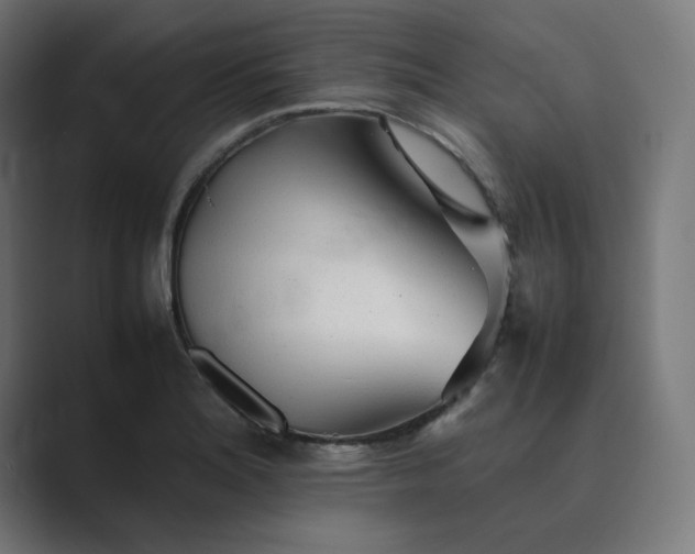 X0000089351180200706291015