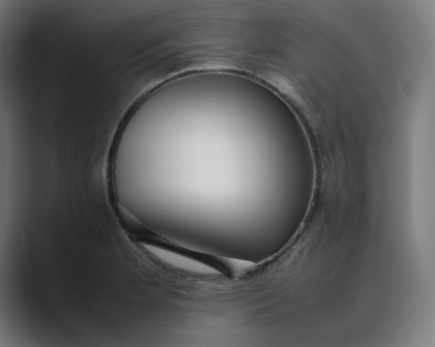 X0000089351181200706291015