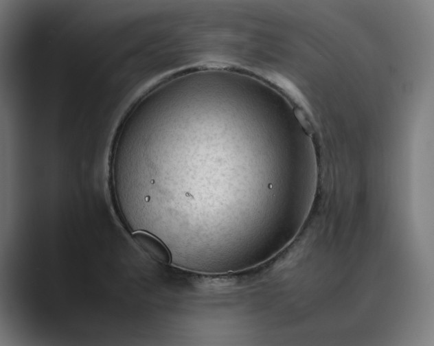 X0000089351183200706291015