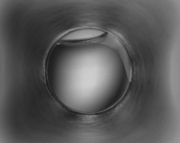 X0000089351184200706291015