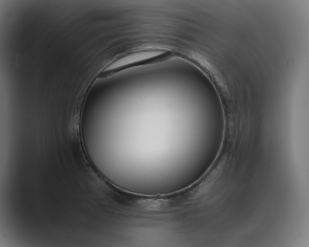 X0000089351185200706291015