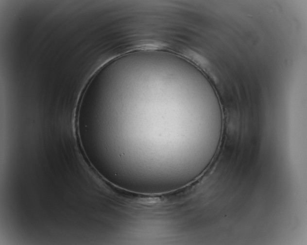 X0000089351186200706291015