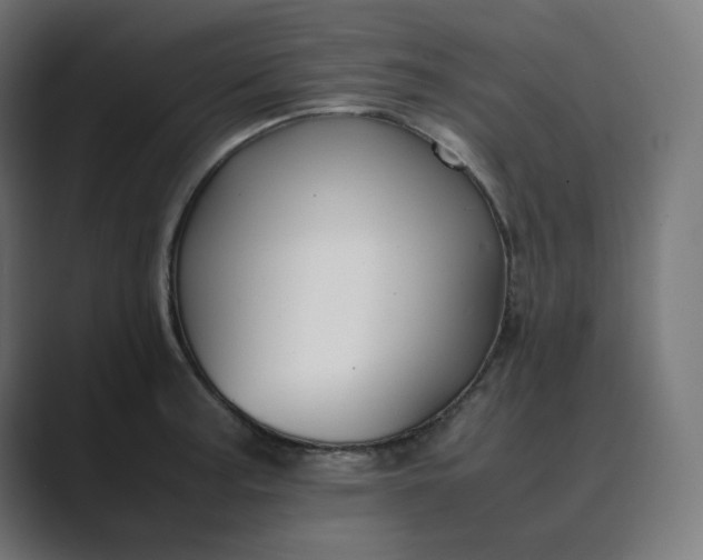 X0000089351187200706291015