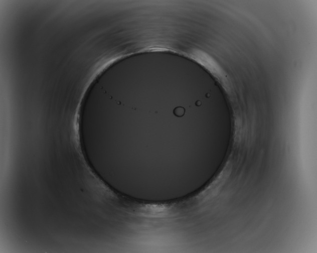 X0000089351190200706291015
