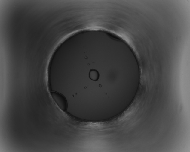 X0000089351191200706291015