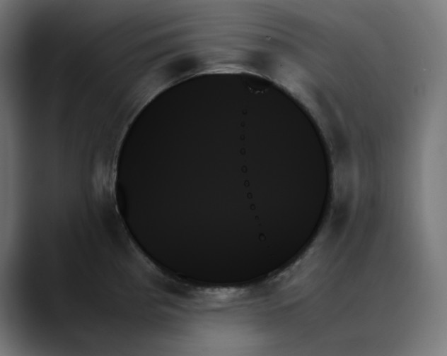 X0000089351193200706291015