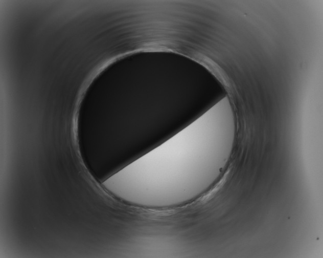X0000089351196200706291015