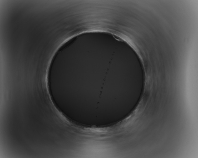 X0000089351197200706291015