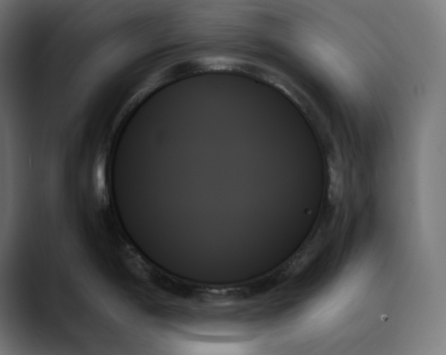 X0000089351198200706291015