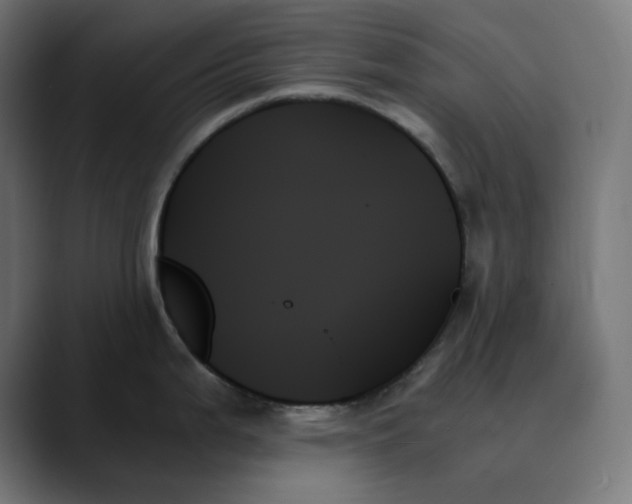 X0000089351199200706291015