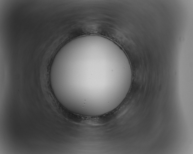 X0000089351201200706291014