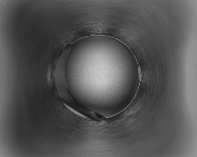 X0000089351202200706291014
