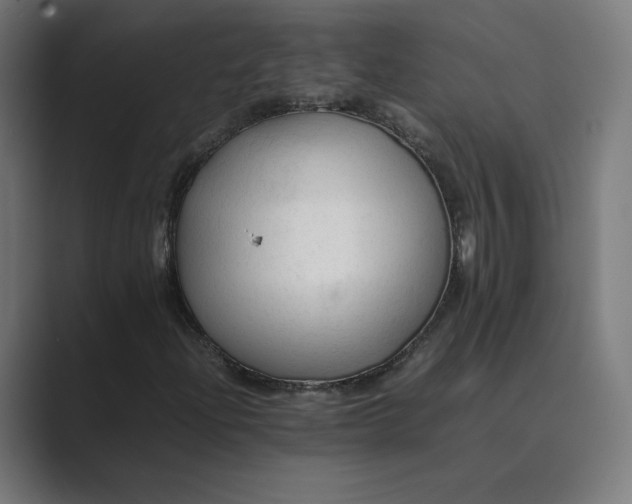 X0000089351204200706291014