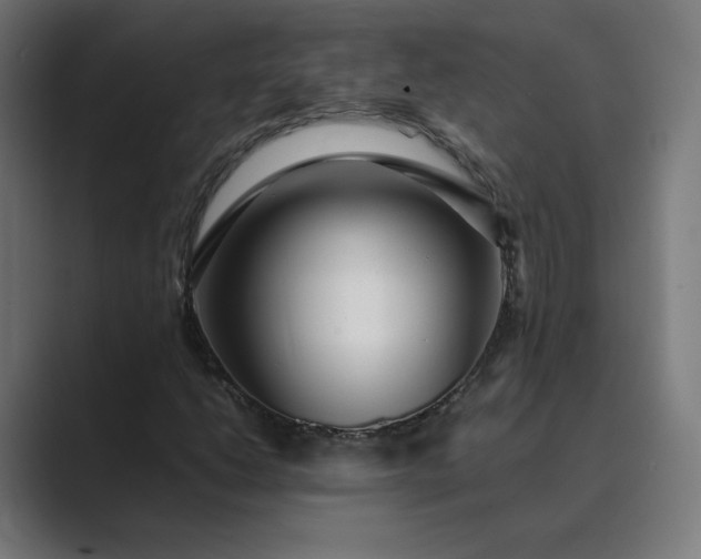 X0000089351206200706291014