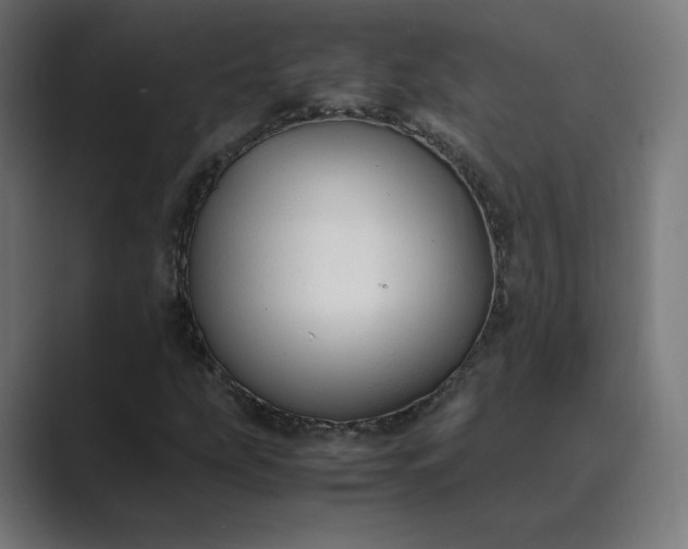 X0000089351207200706291014