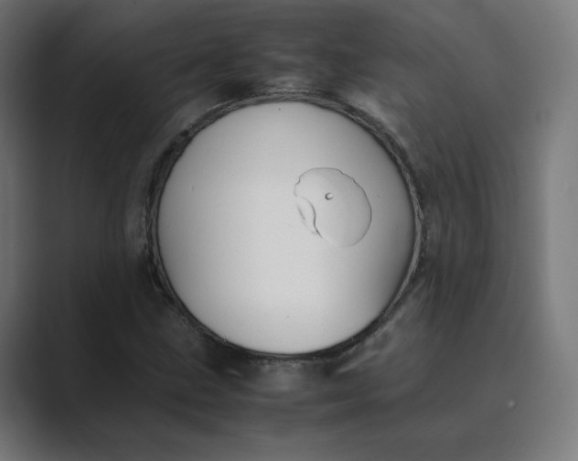 X0000089351211200706291014
