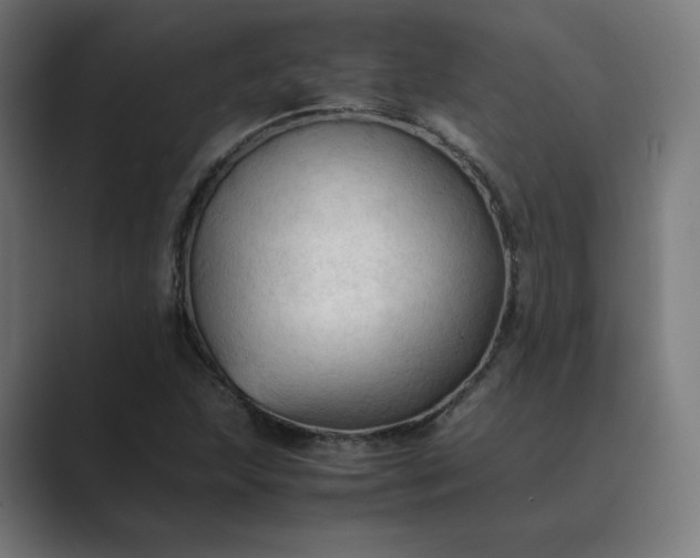 X0000089351215200706291014