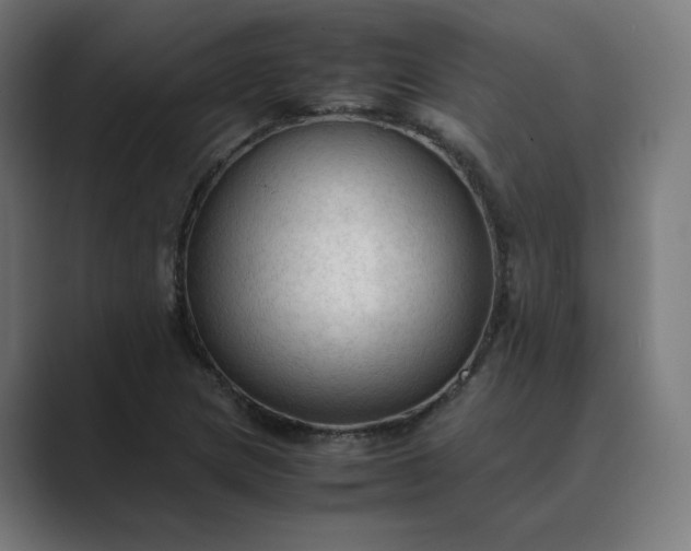 X0000089351217200706291014