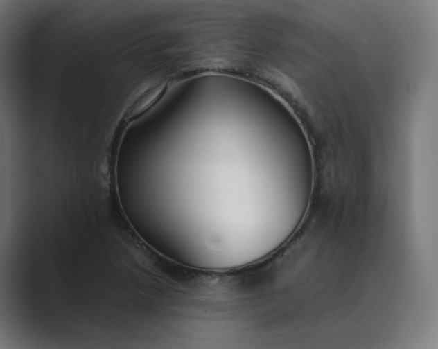 X0000089351218200706291014