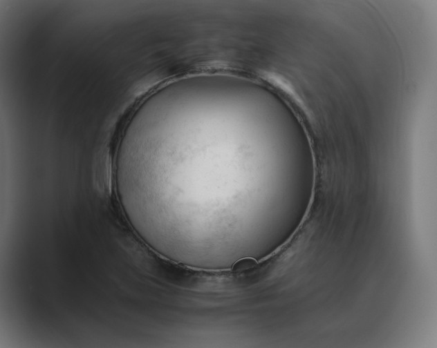 X0000089351219200706291014
