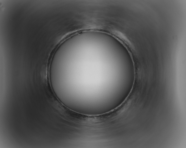 X0000089351220200706291014