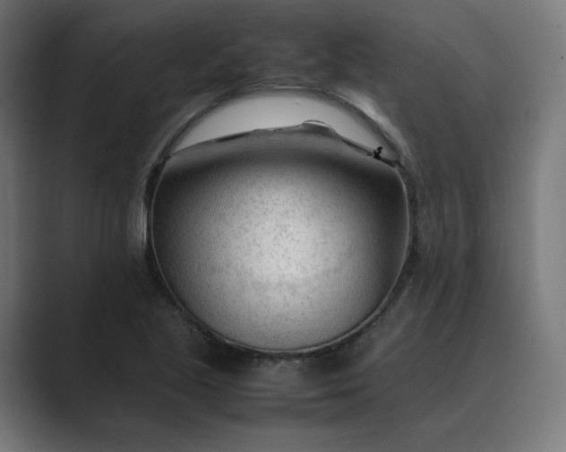 X0000089351221200706291014