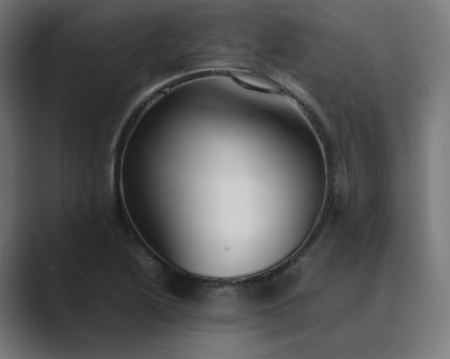 X0000089351222200706291014