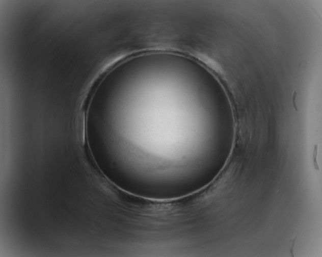 X0000089351223200706291014