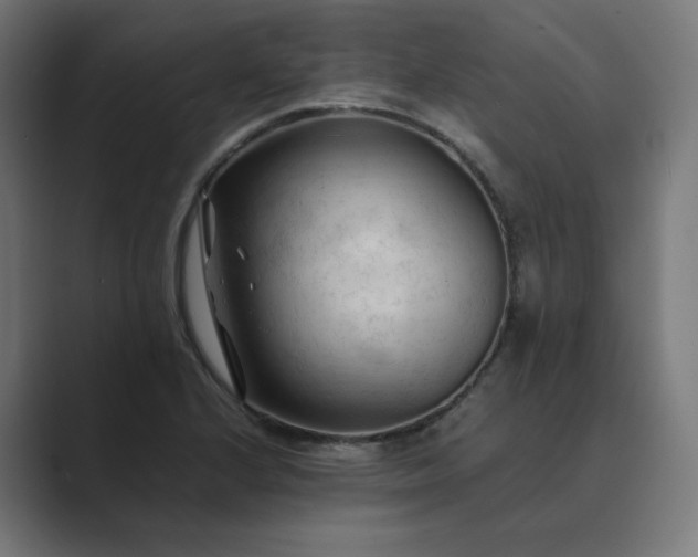 X0000089351224200706291015