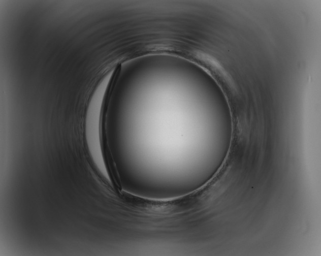 X0000089351225200706291015