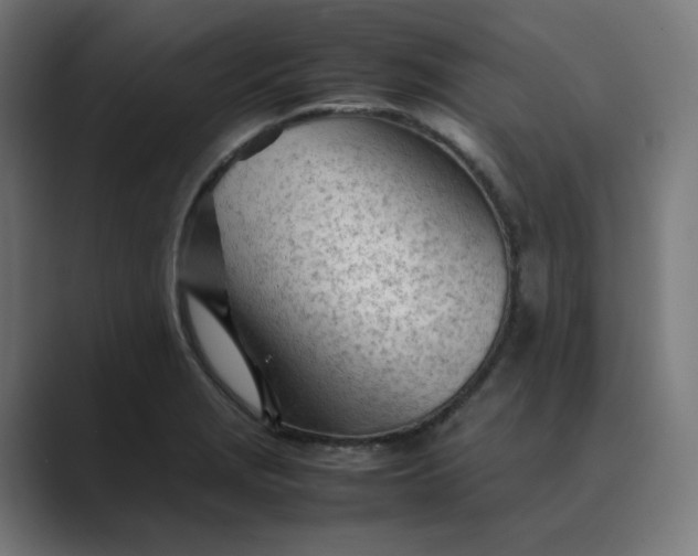 X0000089351229200706291015