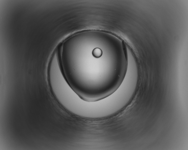 X0000089351230200706291015