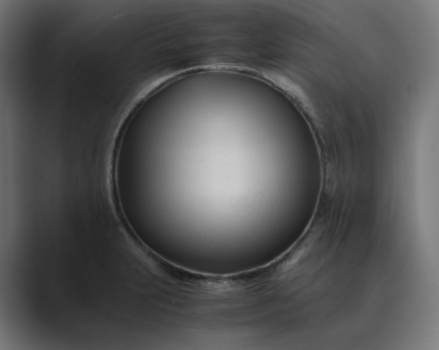 X0000089351231200706291015