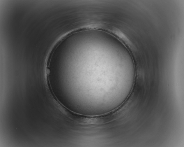 X0000089351232200706291015
