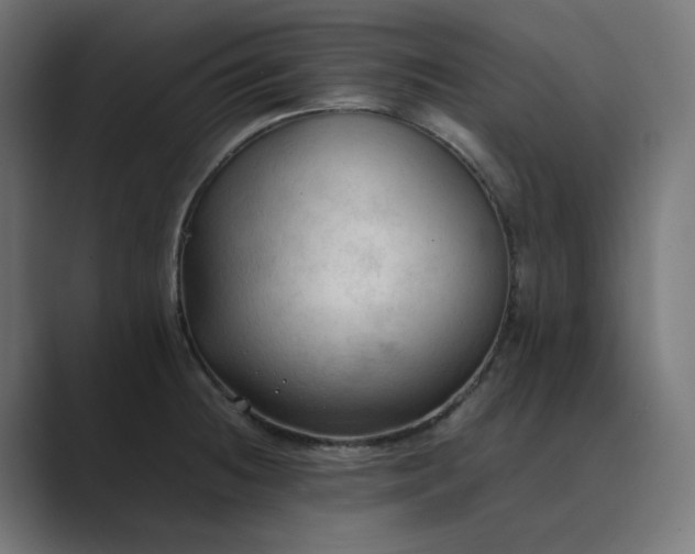 X0000089351236200706291015
