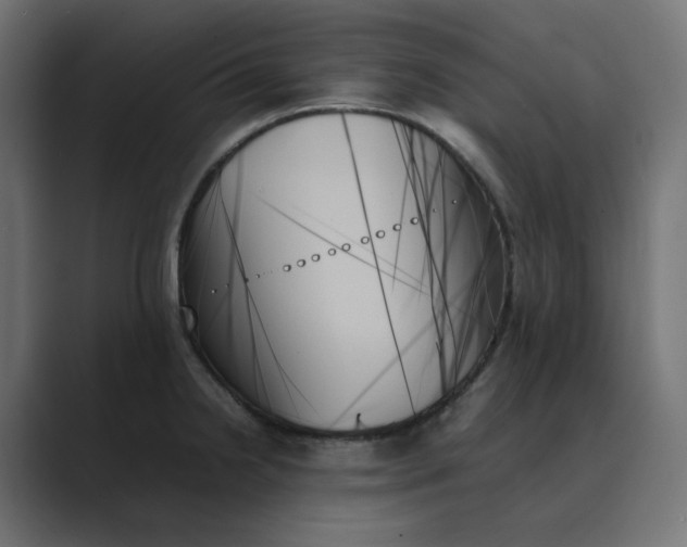 X0000089351238200706291015