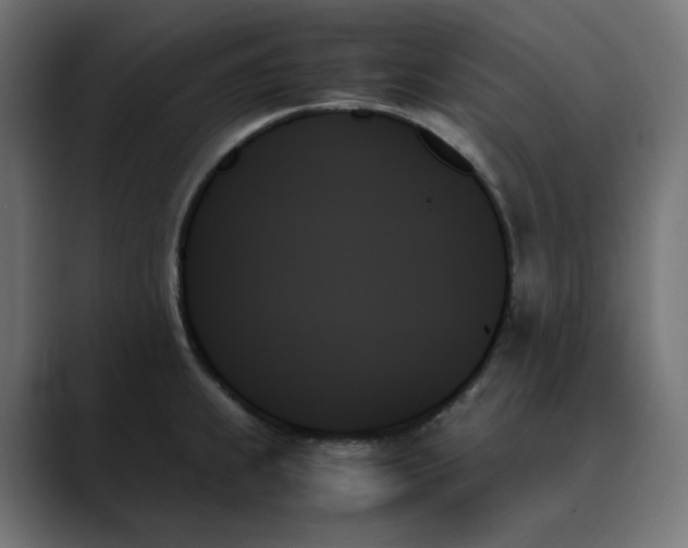 X0000089351239200706291015