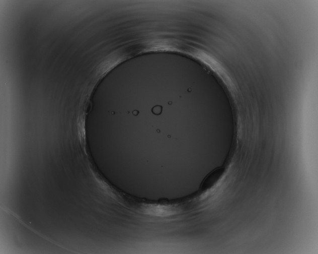 X0000089351241200706291015