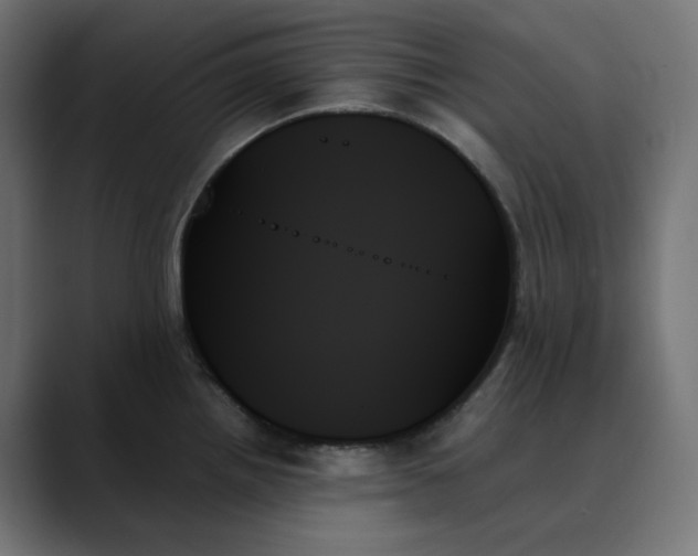 X0000089351242200706291015