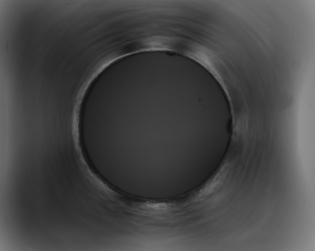 X0000089351243200706291015