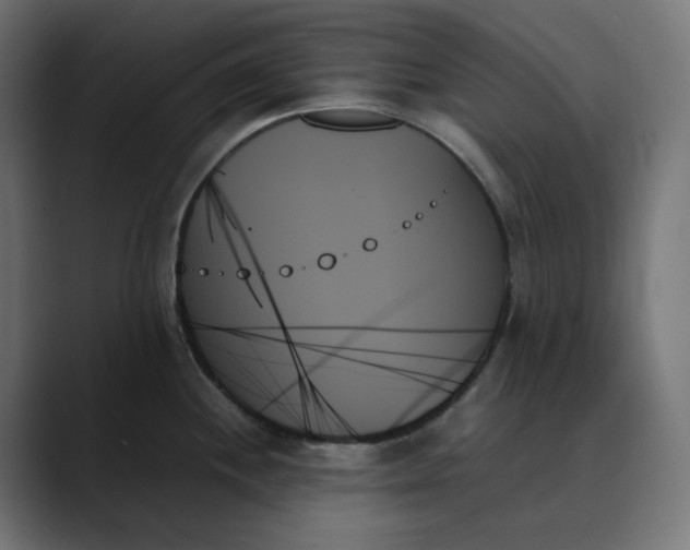 X0000089351244200706291015