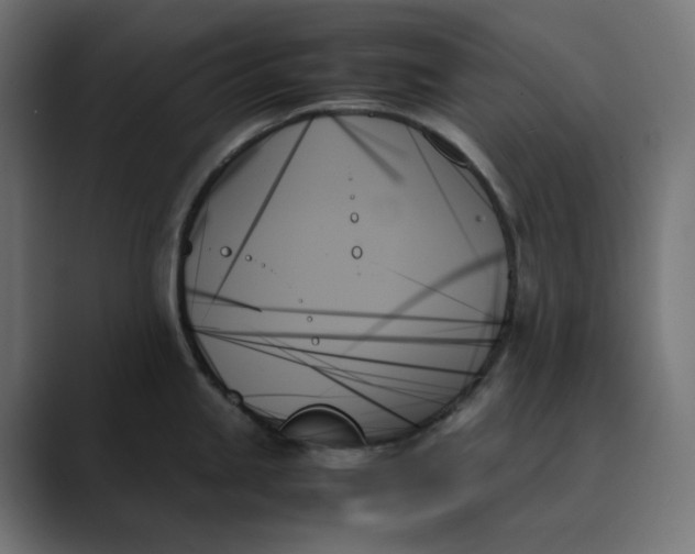 X0000089351245200706291015