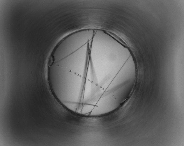 X0000089351246200706291015
